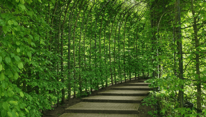 Backyard Ideas: Transform Your Outdoor Space Today
