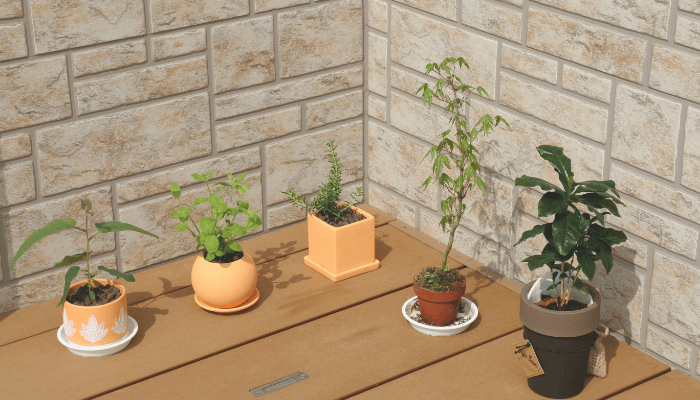 Best Gardening Design Apps for Smarter Layouts