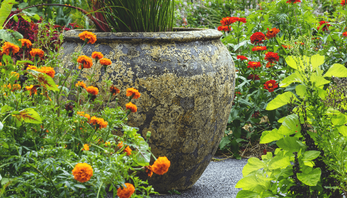 Best Gardening Stores in Portugal by Region