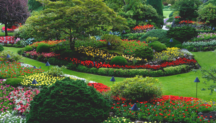 Best Landscape Designer in Portugal: Expert Guide