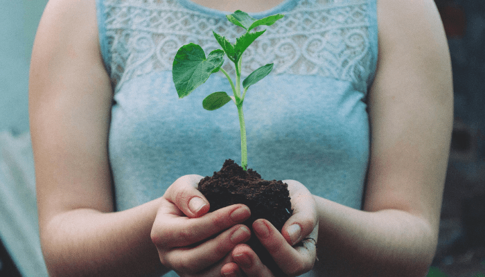 Best Sustainable Brands in Portugal (2026 Guide)