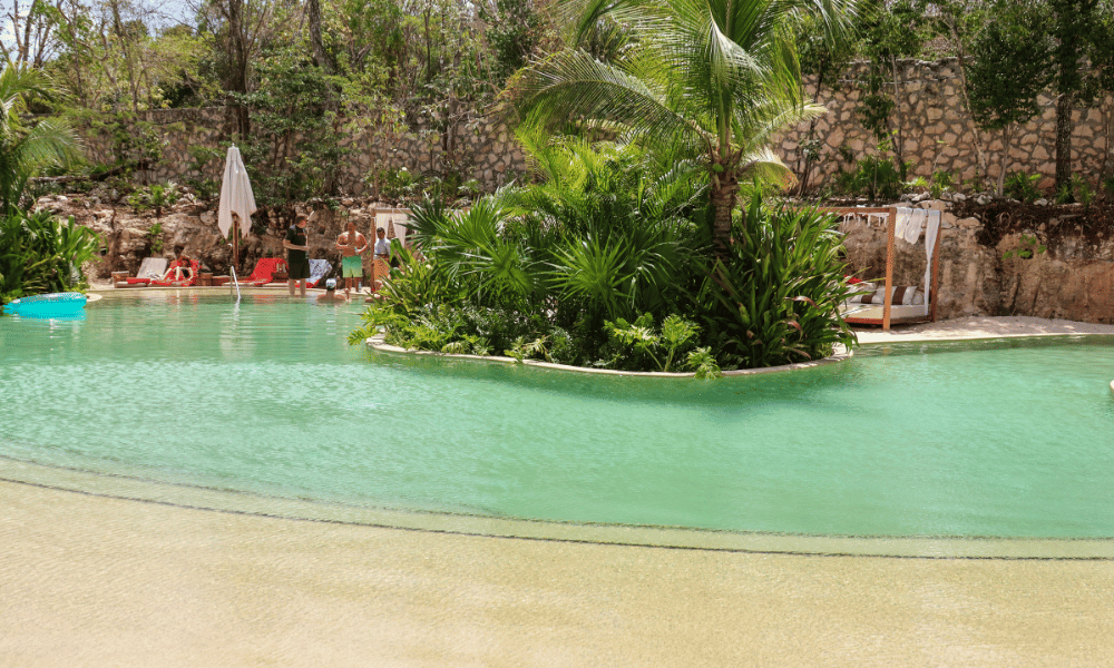 Best Swimming Pool Vacuum 2026: Complete Buying Guide