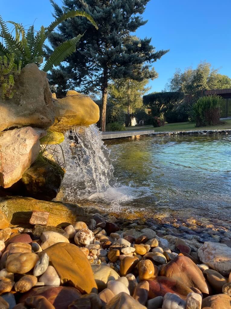 Garden Ponds and Waterfalls: Design + Build Ideas
