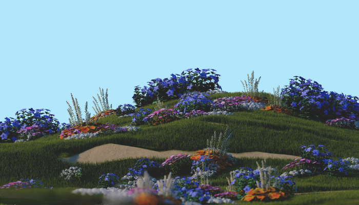 Gardening on a Slope: Design and Planting Tips