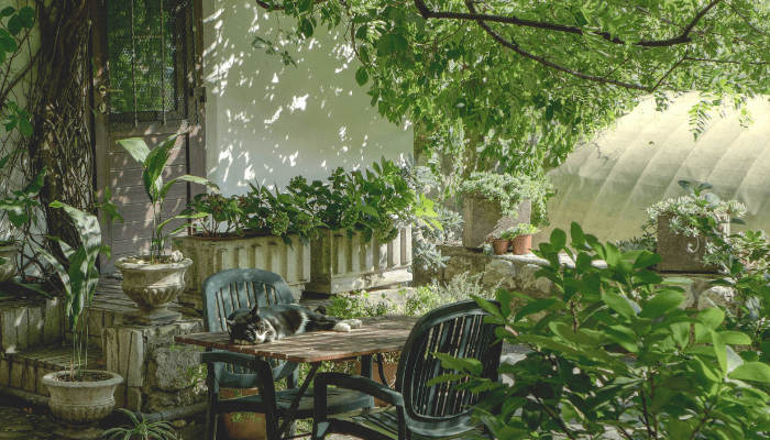 Smart Hardscaping Ideas for a Low Maintenance Front Yard