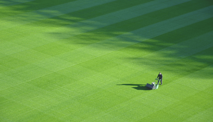 How to Aerate Your Lawn: Easy Guide for Healthier Turf
