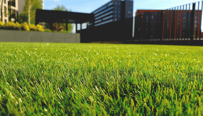 How to Level a Lawn: Simple Steps for a Smooth Yard