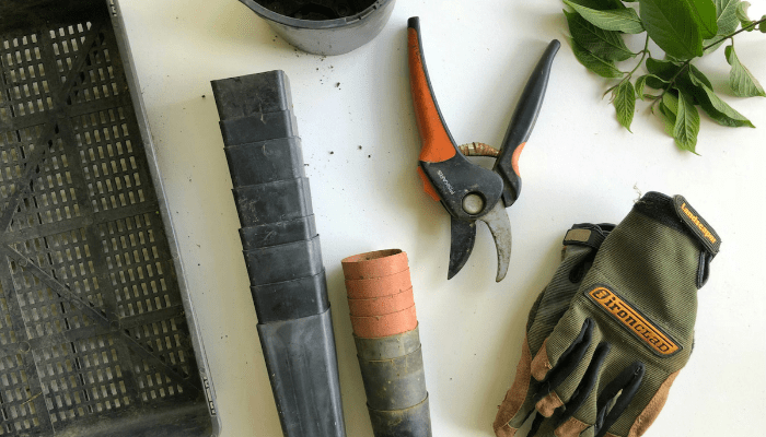 Landscape Design for Backyard: Smart Ideas & Pro Tips
