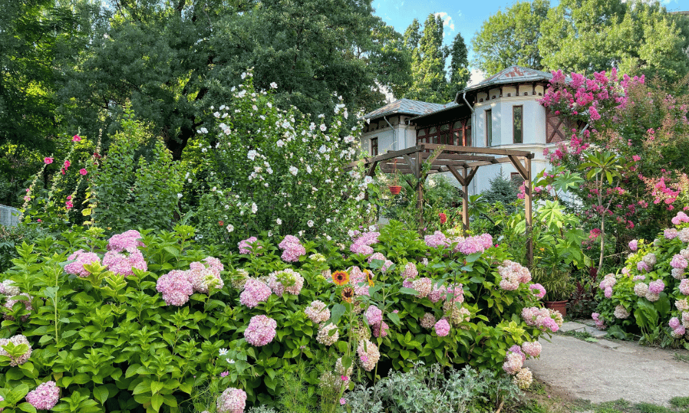 Ideias de Design de Paisagem para o Jardim da Frente