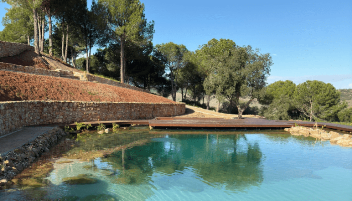 Natural Pool Designs: Find Your Oásis Biosistemas