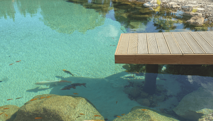 Natural Pool Treatment: Chemical-Free Water Care