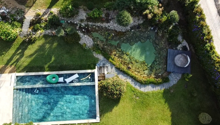 Natural Pool vs Saltwater Pool: Complete Comparison Guide