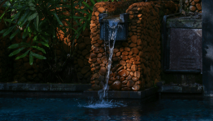 Organic Pools Explained: Benefits, DIY Tips & Costs