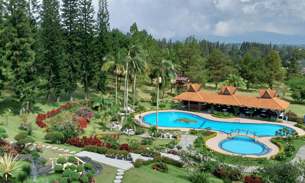 Next-Level Poolside Ideas for Modern Eco-Lovers