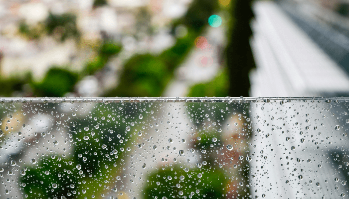 Rain Gardens: Benefits, Plants, Design & Drainage Tips