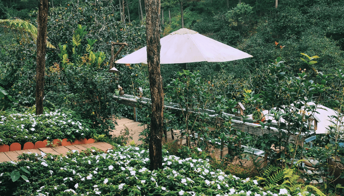 Raised Gardens Guide 2026: Build Better Beds Fast