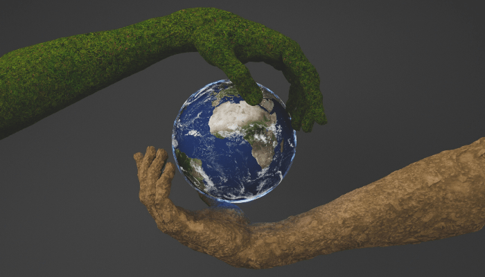Sustentabilidade em Portugal: Progresso, Desafios e Futuro