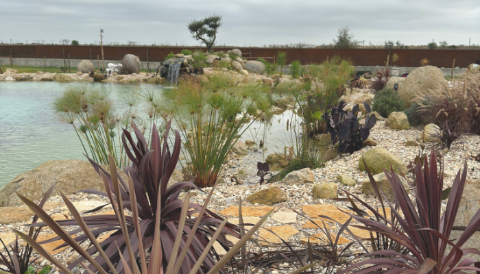 Types of Landscaping: Styles That Work for Any Space