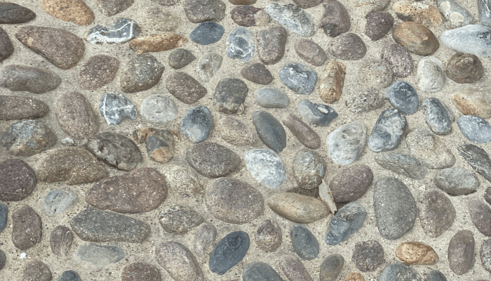 What Are Scalpings? Types, Uses and Tips