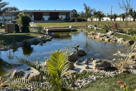 What Is a Garden Pond? Purpose, Types, and Benefits