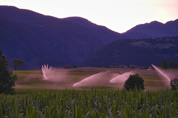 What Is an Irrigation System? Types & Choosing for Gardens