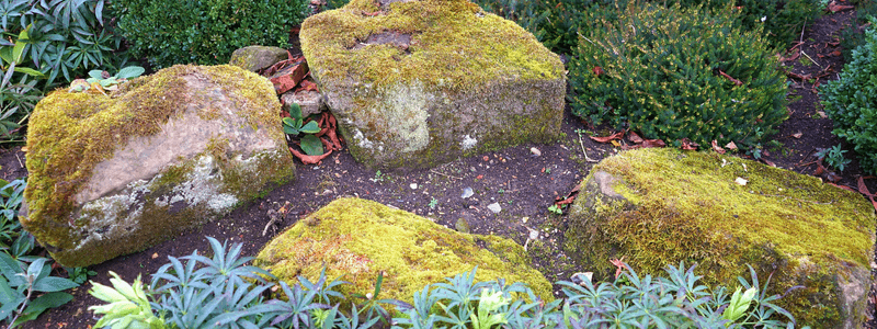 What is Hardscaping? Transform Your Backyard with Us