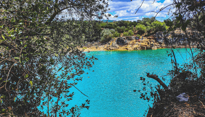 What Is Limnology? The Science of Freshwater Ecosystems