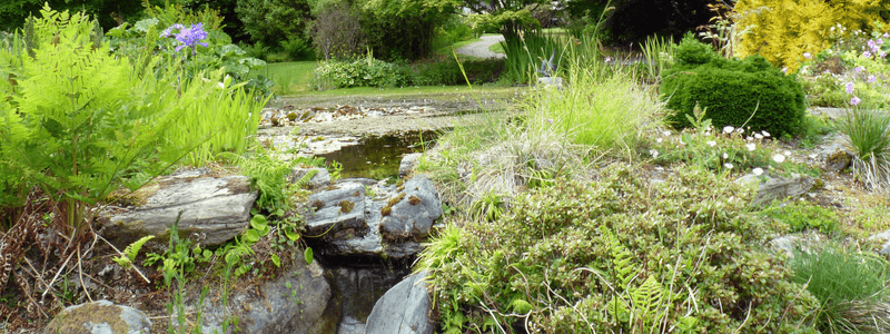 Softscaping: Bring Luxury to Your Garden