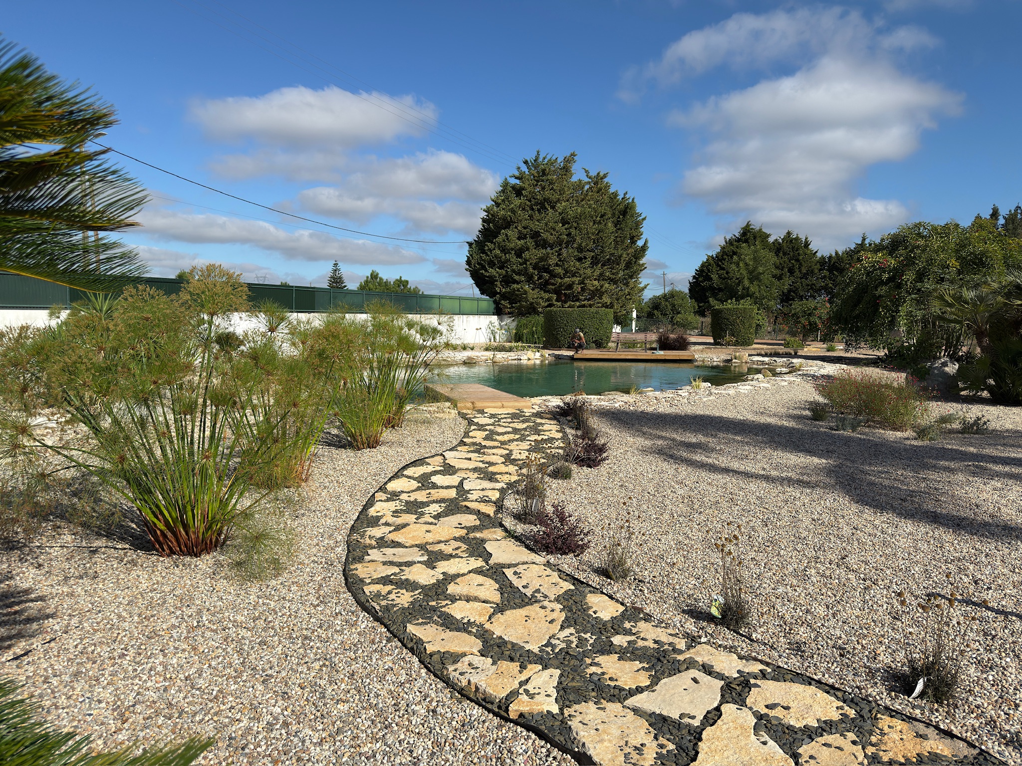 Transform Your Backyard with a Grotto Pool